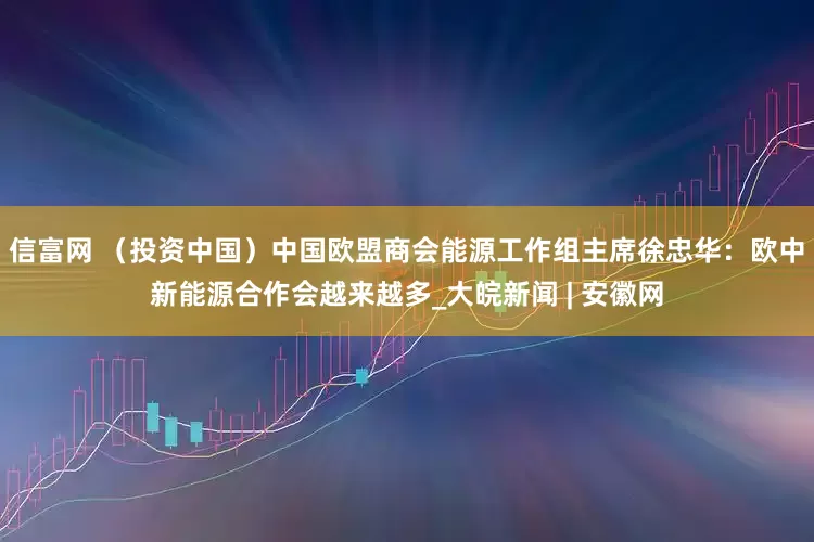 信富网 （投资中国）中国欧盟商会能源工作组主席徐忠华：欧中新能源合作会越来越多_大皖新闻 | 安徽网