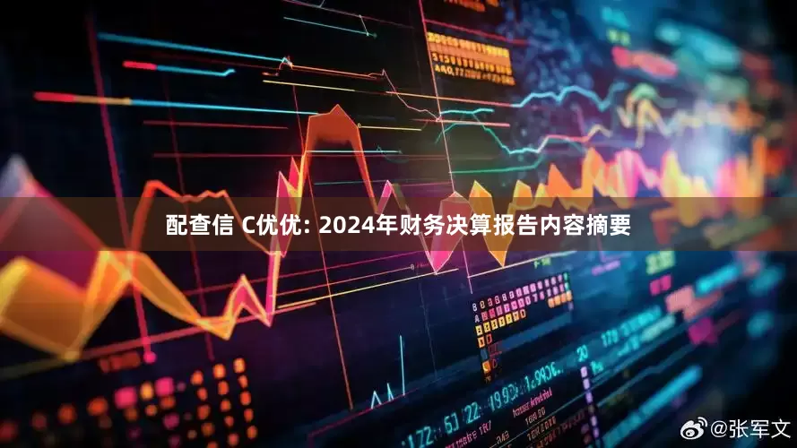 配查信 C优优: 2024年财务决算报告内容摘要