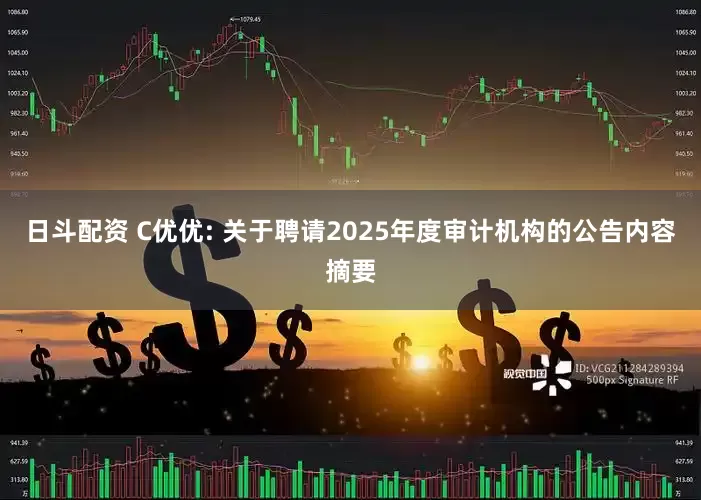 日斗配资 C优优: 关于聘请2025年度审计机构的公告内容摘要